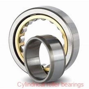 25 mm x 52 mm x 15 mm  ISB N 205 cylindrical roller bearings