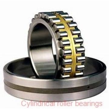 105 mm x 160 mm x 41 mm  NSK NN3021TBKR cylindrical roller bearings