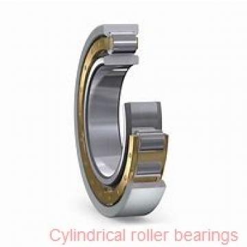 85 mm x 180 mm x 41 mm  KOYO N317 cylindrical roller bearings