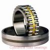 30 mm x 55 mm x 13 mm  NSK NU1006 cylindrical roller bearings
