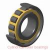 AST NJ207 EMA cylindrical roller bearings