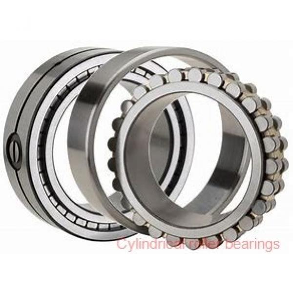 35 mm x 100 mm x 25 mm  NACHI NJ 407 cylindrical roller bearings #2 image